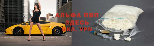 гидра Волоколамск