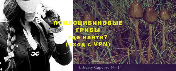 гидра Волоколамск