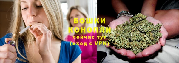 гидра Волоколамск