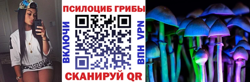 что такое наркотик  Пенза  Псилоцибиновые грибы Magic Shrooms 